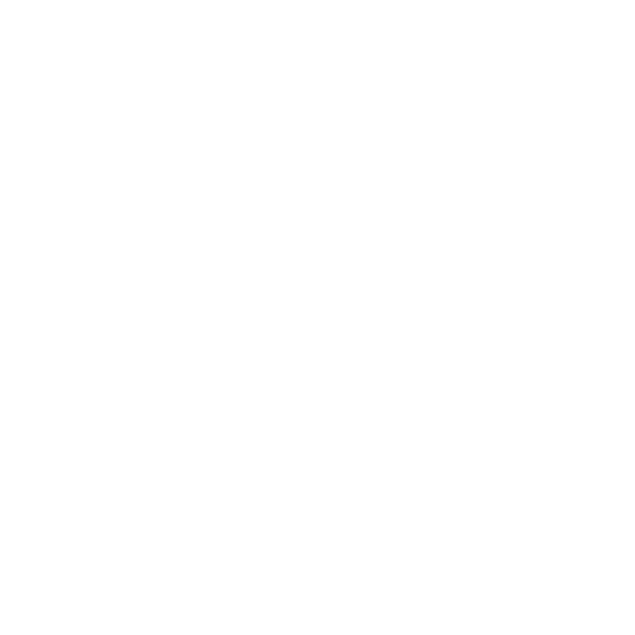 audi audi
